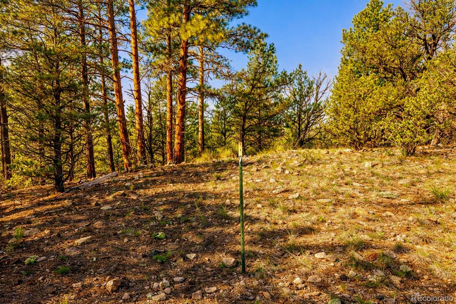 TBD L 10th Trail
