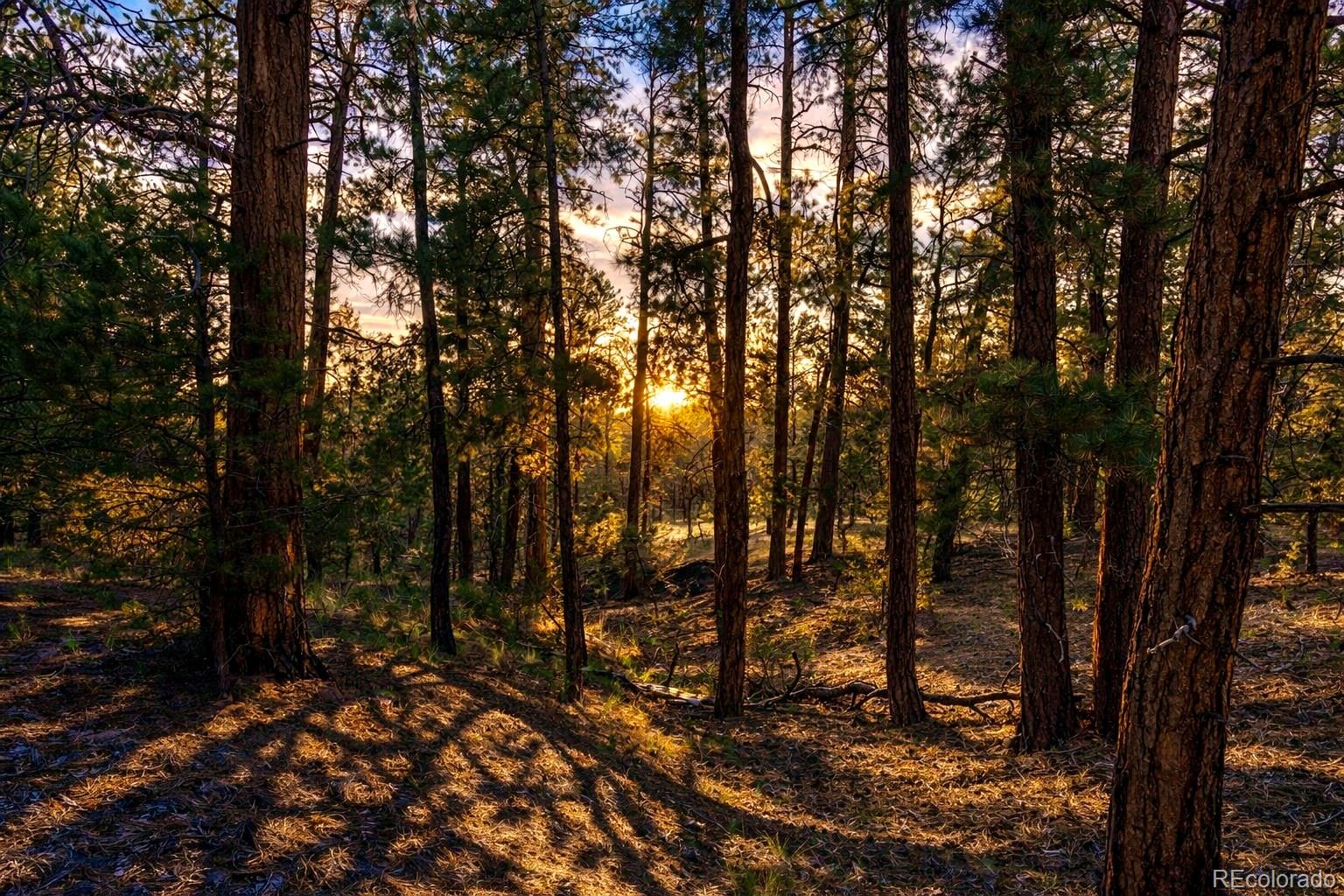 TBD L 10th Trail