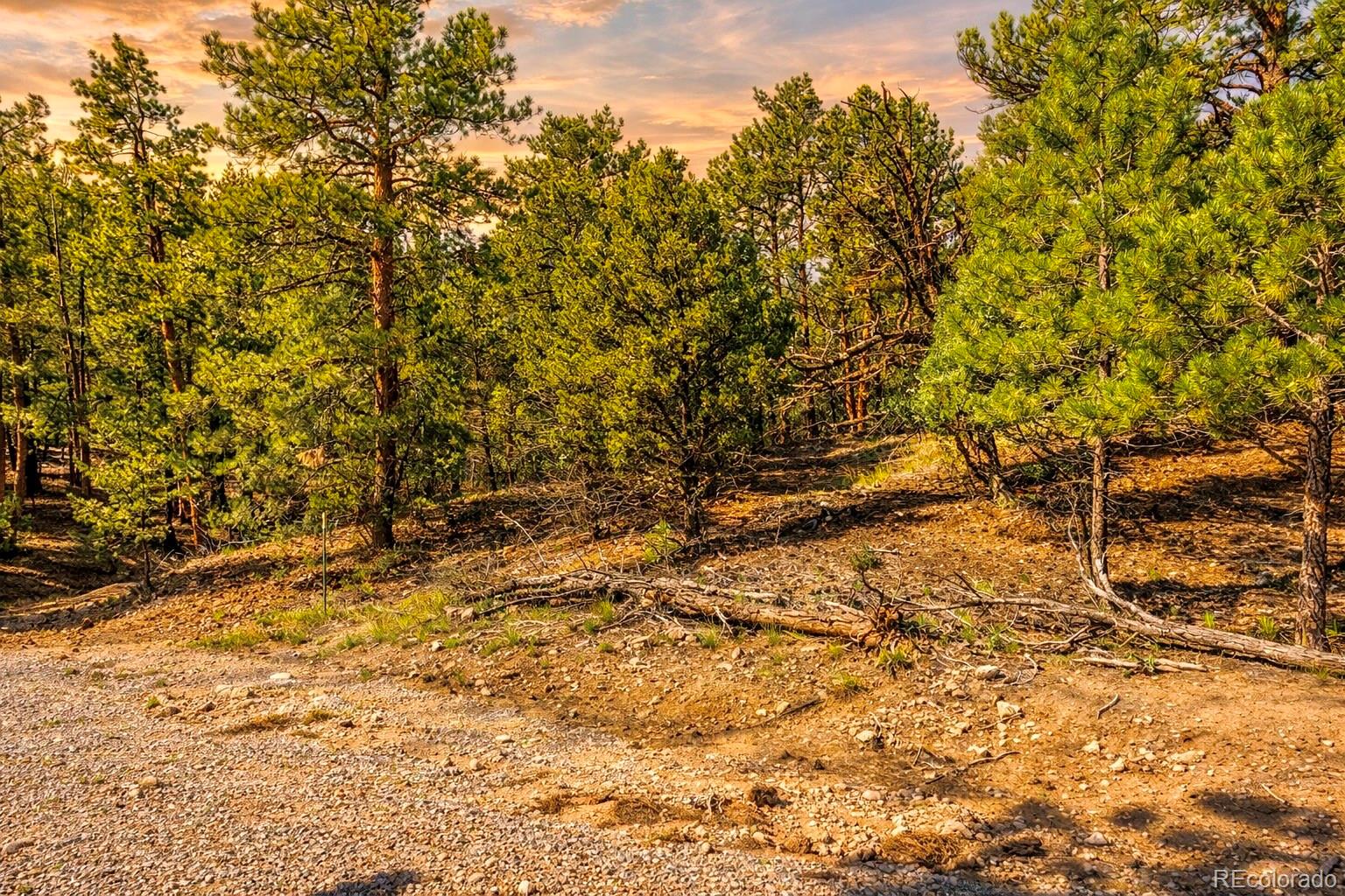 TBD L 10th Trail