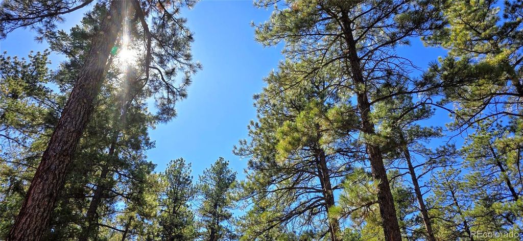 Photo of 8057 Bannock Drive, Larkspur, CO 80118 (MLS # 5315373)