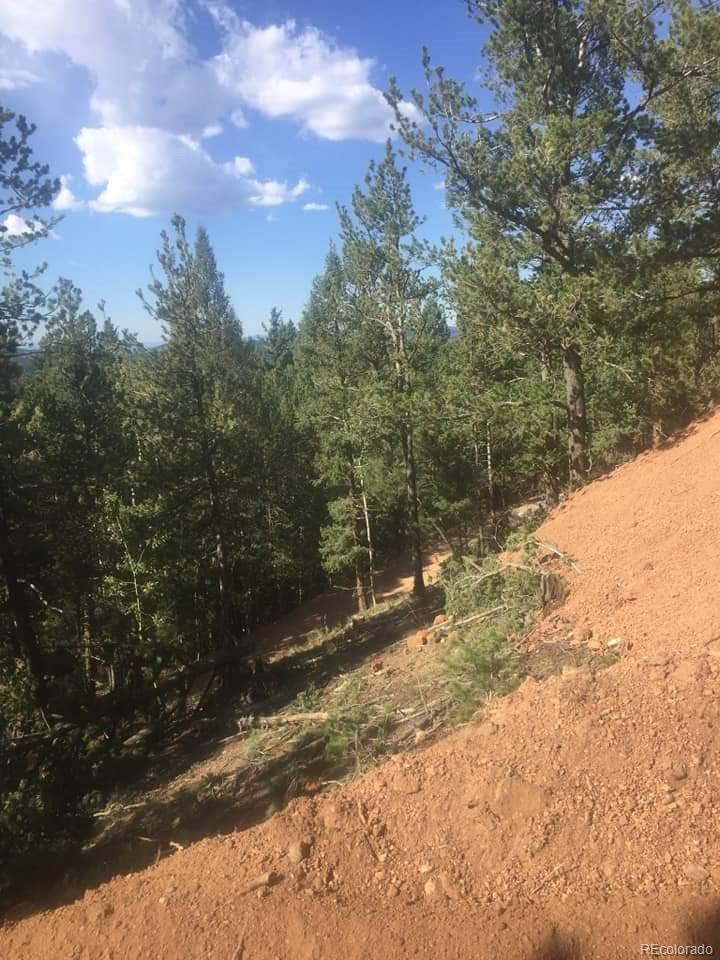 Photo 6 of 17 of 48 Squilchuk Trail land