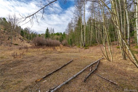 130 Grey Eagle Way Cripple Creek CO 80813