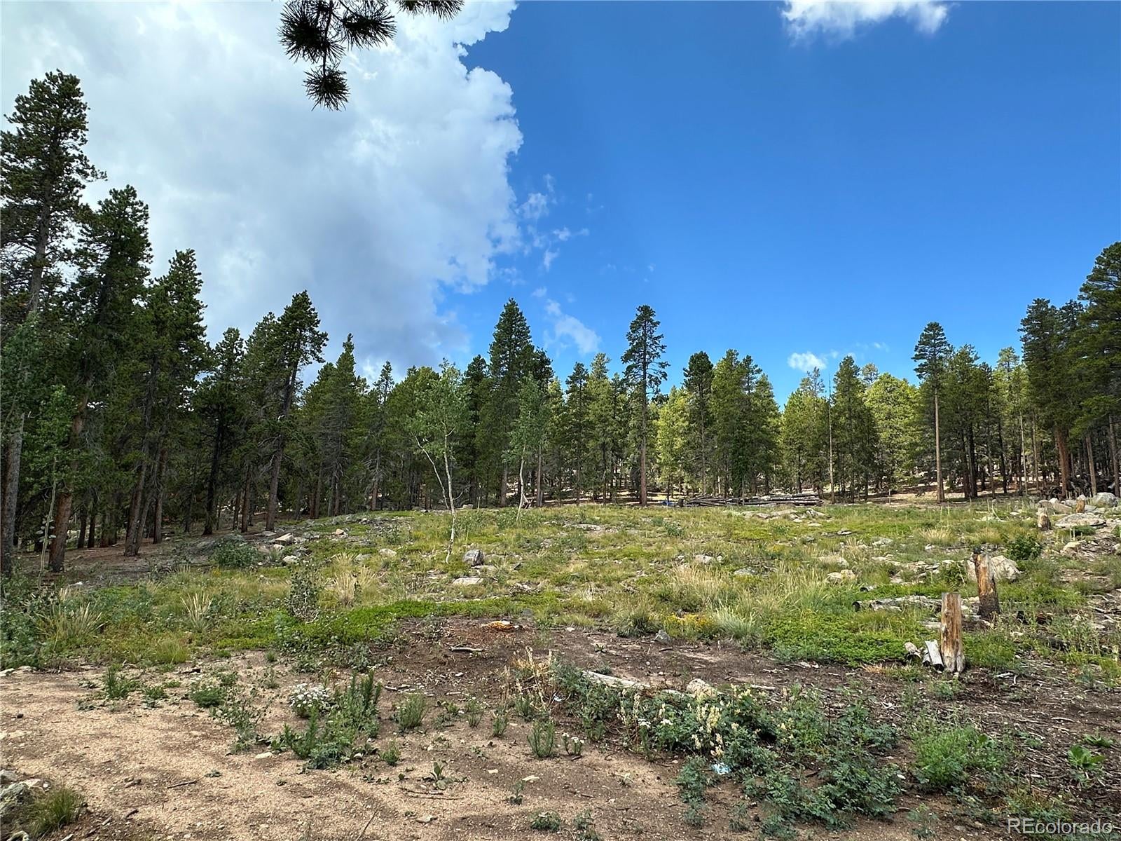 754 Mountain Meadows Drive