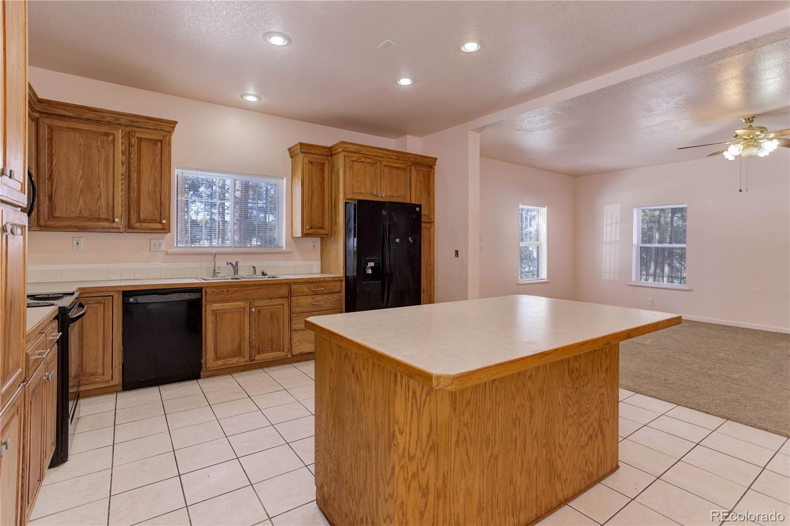 13264 Teller County Road, Florissant, CO, 80816 4 13264 Teller County Road