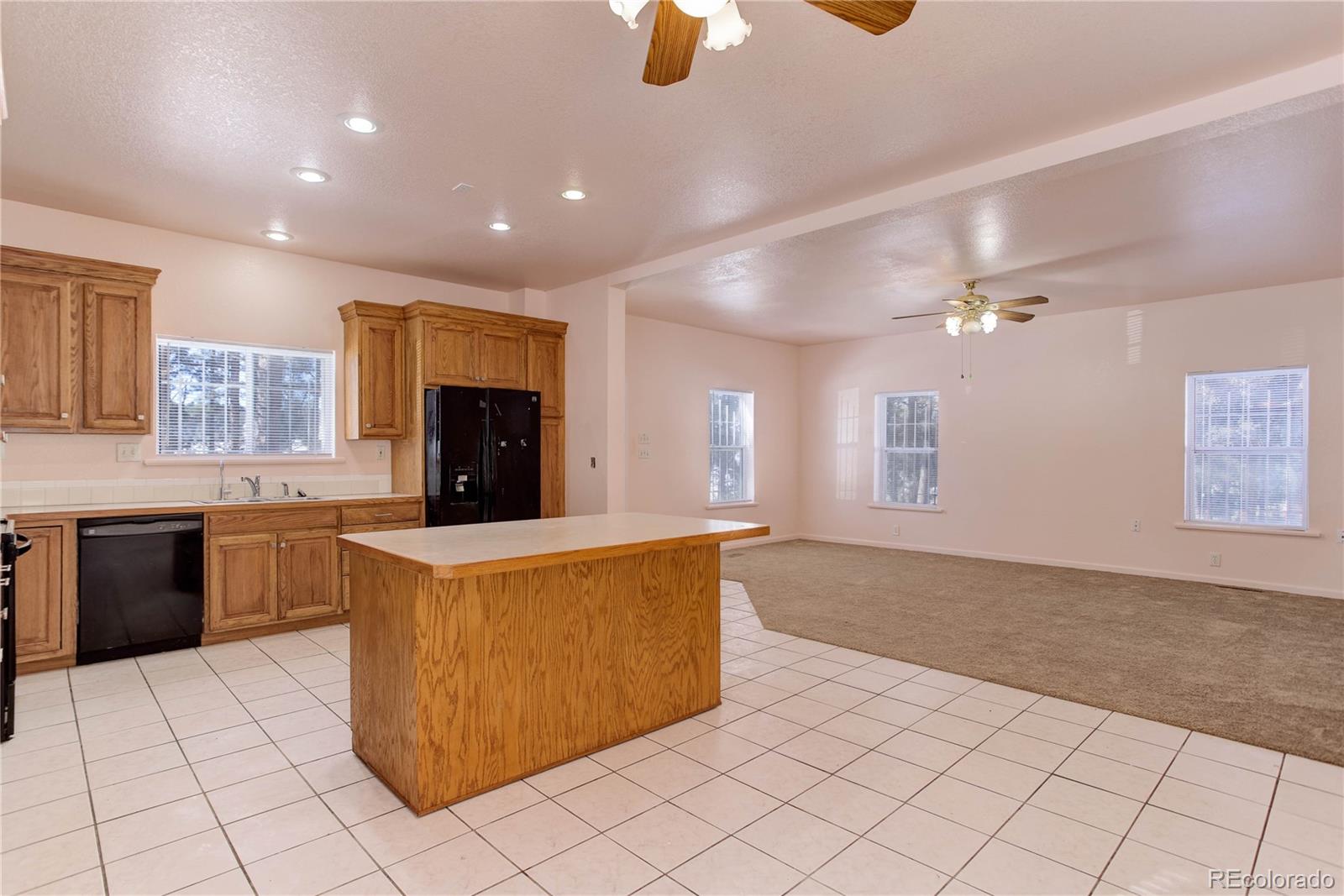13264 Teller County Road, Florissant, CO, 80816 3 13264 Teller County Road