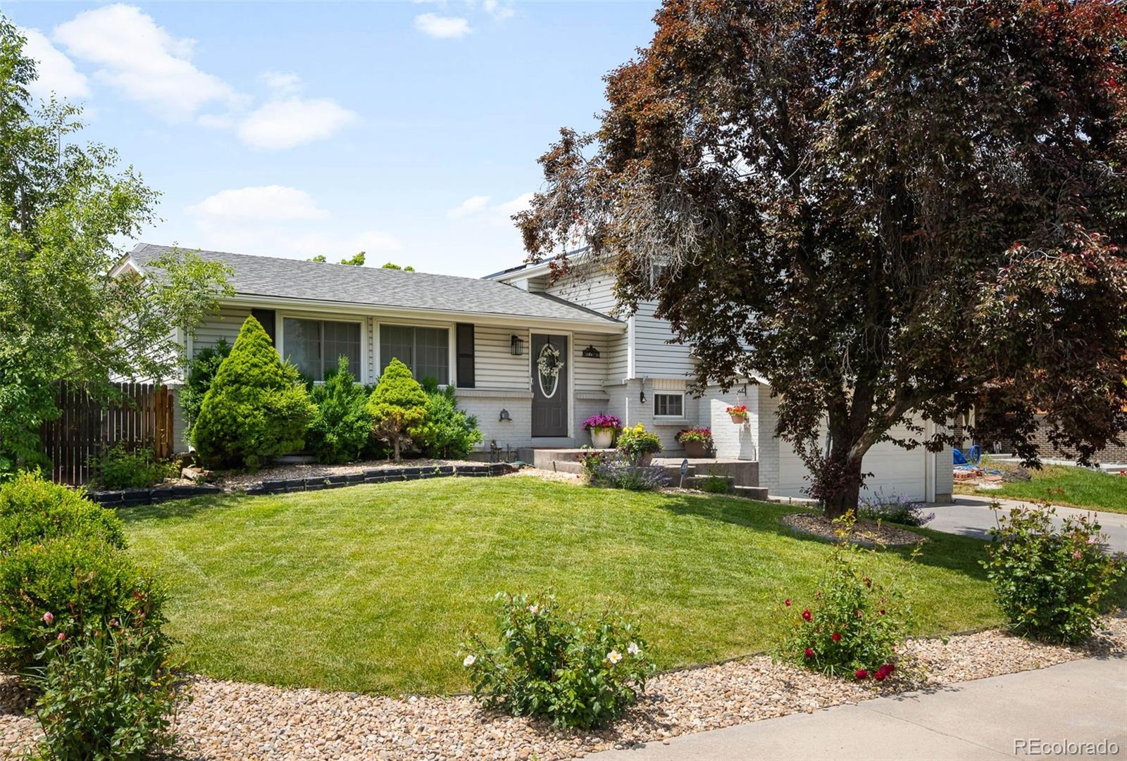 7371 Otis Court, Arvada, CO, 80003 1 7371 Otis Court