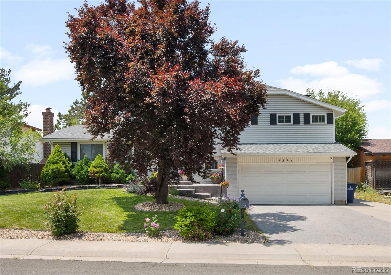 7371 Otis Court, Arvada, CO, 80003 3 7371 Otis Court