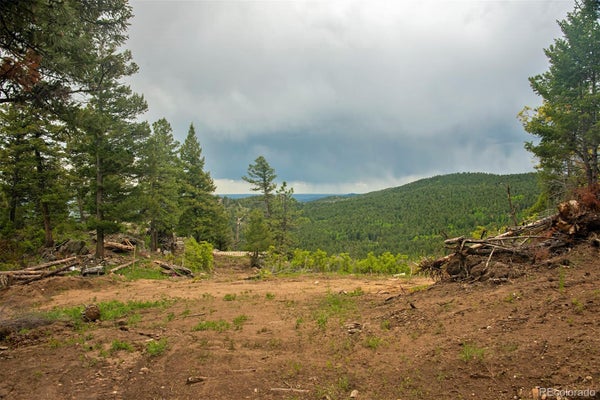 13864 N TRAIL CIR, LITTLETON, CO 80127 - Image 990fb61dd6204dbf68e0ca9457cd9f8f/3694953627