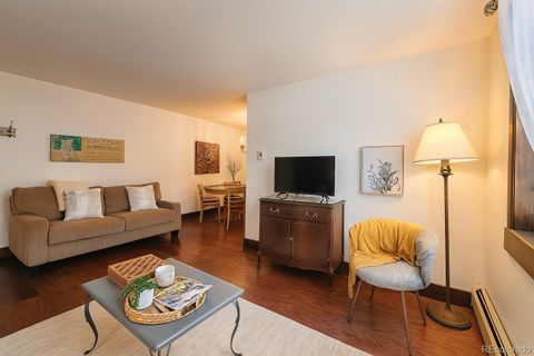 214 S Harris Street 101 Breckenridge CO 80424