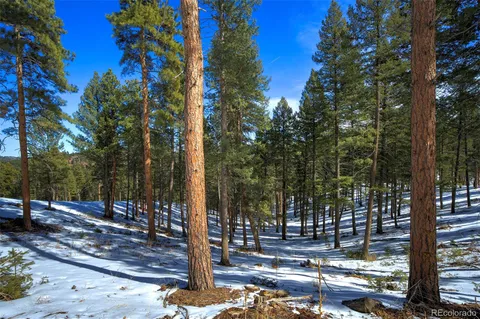 TBD 4 Iowa Gulch Road, Morrison, CO 80465 - #: 8273257