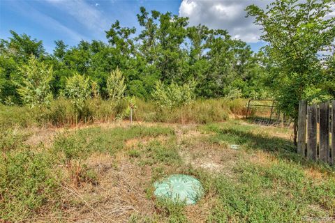 Single Family Residence in Agate CO 22111 County Road 150 28.jpg