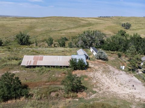 Single Family Residence in Agate CO 22111 County Road 150 26.jpg