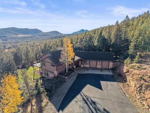 9646 Wallow Court Conifer CO 80433