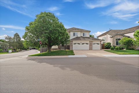 9602 Indian Wells Drive Lone Tree CO 80124