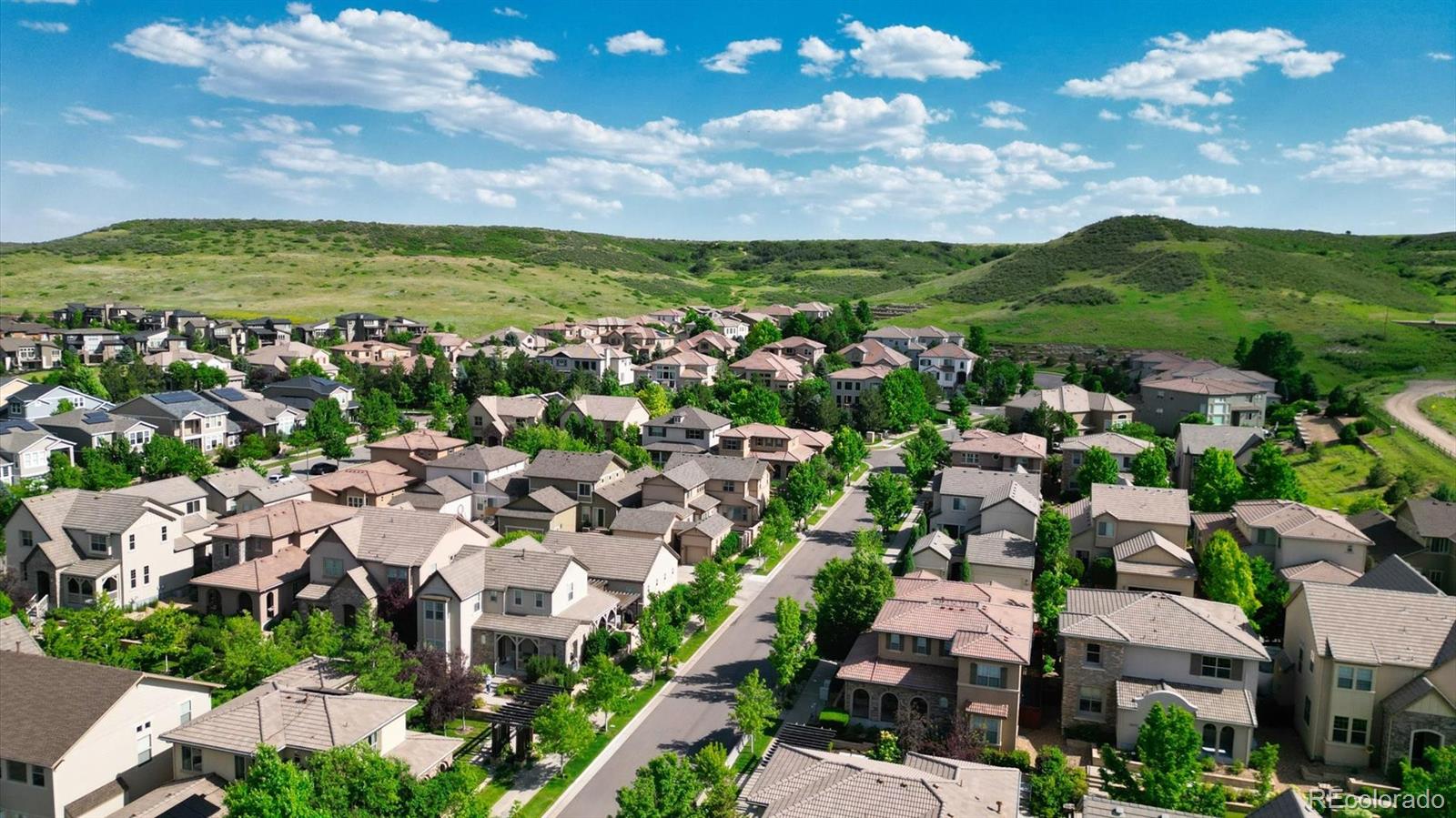 10328 Bluffmont Drive, Lone Tree, CO, 80124 4 10328 Bluffmont Drive