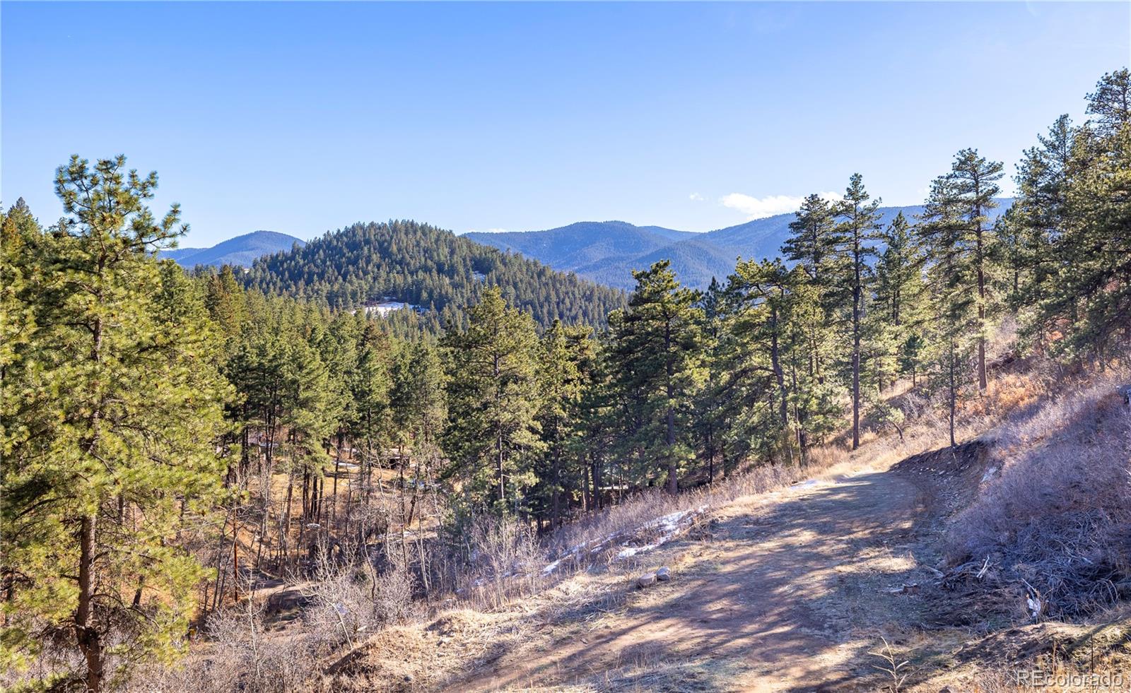 9079 S Murphy Gulch Road