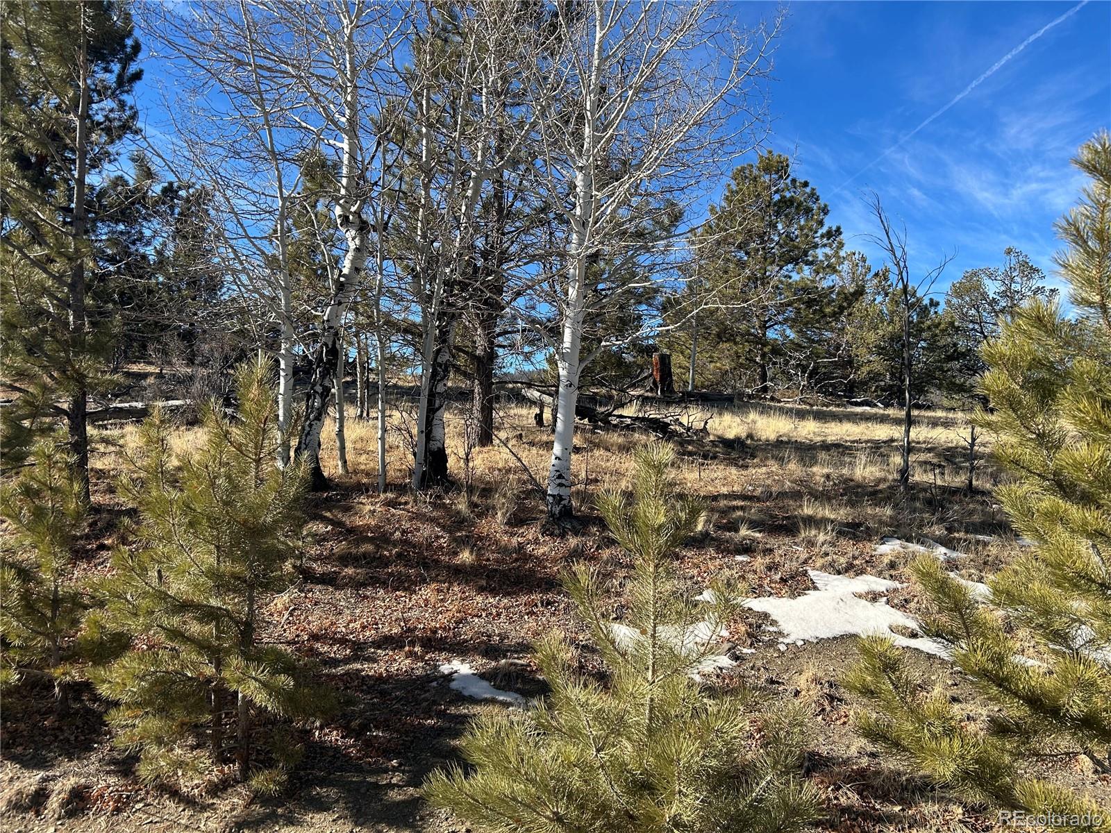 3430 Singletree Road