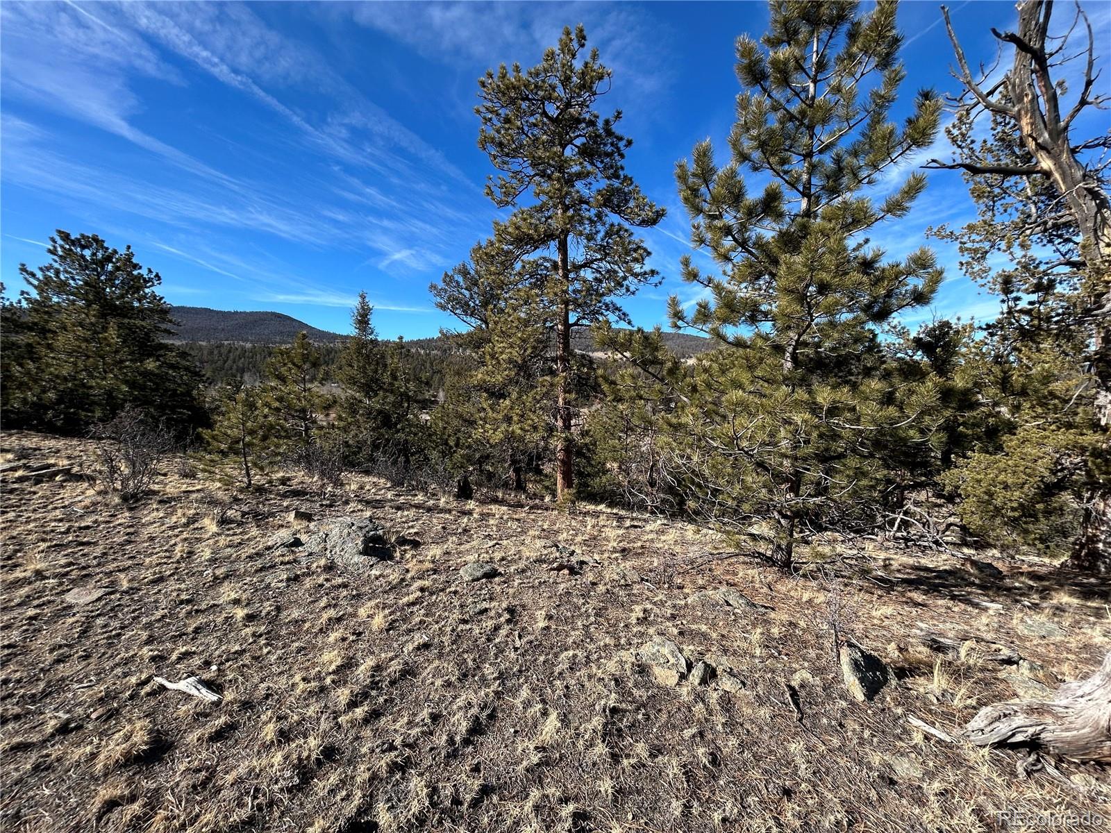 3430 Singletree Road