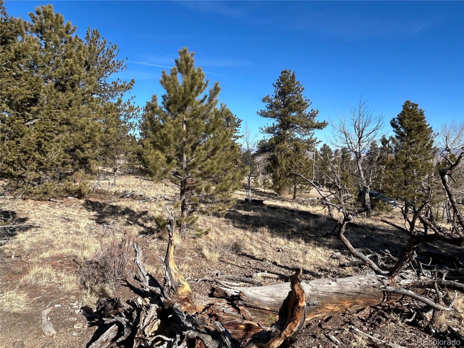 3430 Singletree Road