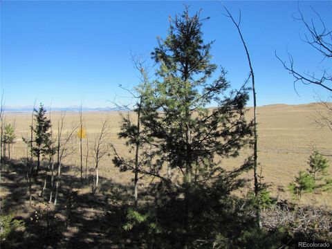 313 Aspen Lane Hartsel CO 80449