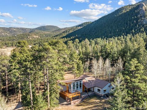 3333 Rockwood Lane S Estes Park CO 80517