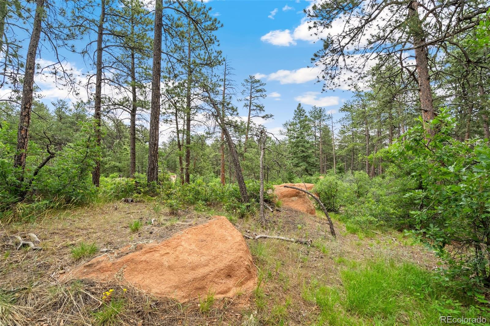 4580 Delaware Drive, Larkspur, CO, 80118 4580 Delaware Drive