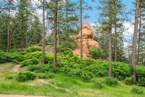 4580 Delaware Drive Larkspur Co 80118