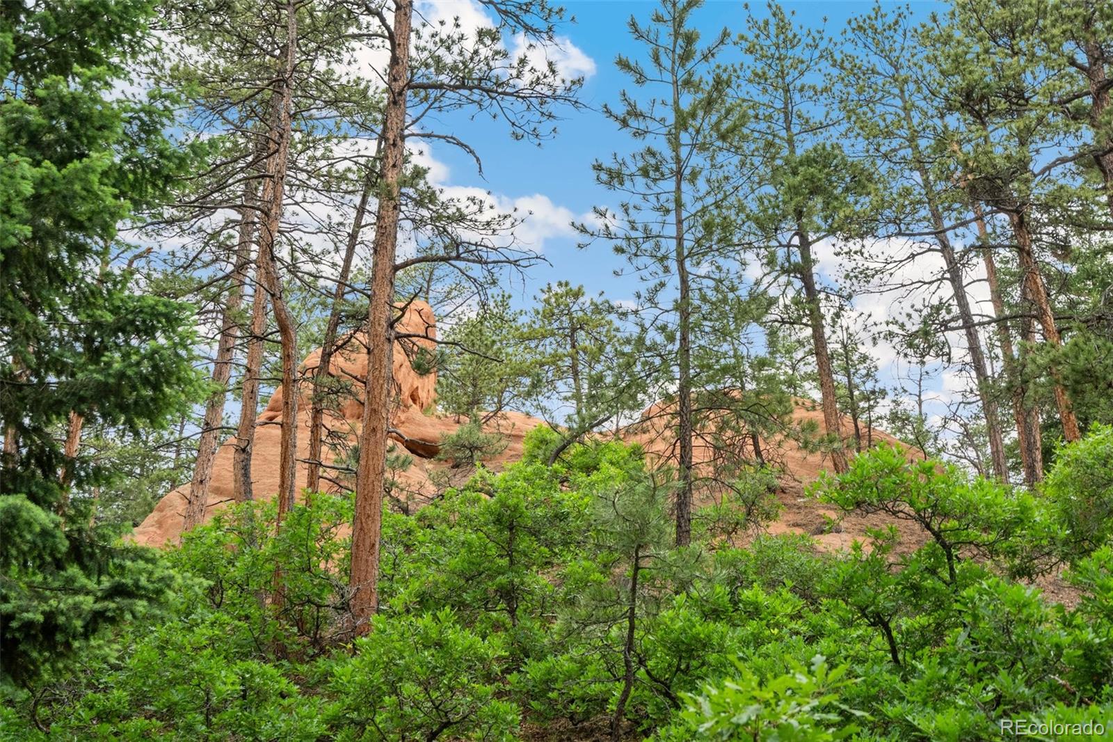 4580 Delaware Drive, Larkspur, CO, 80118 4580 Delaware Drive