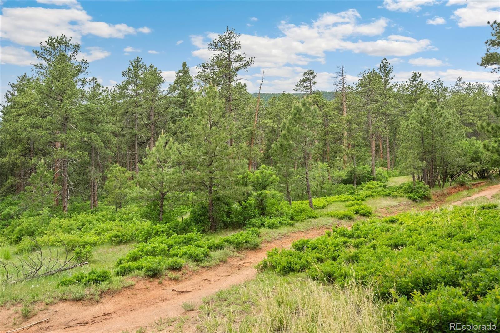 4580 Delaware Drive, Larkspur, CO, 80118 4580 Delaware Drive