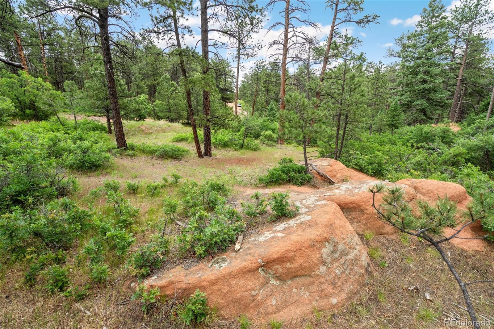 4580 Delaware Drive, Larkspur, CO, 80118 4580 Delaware Drive
