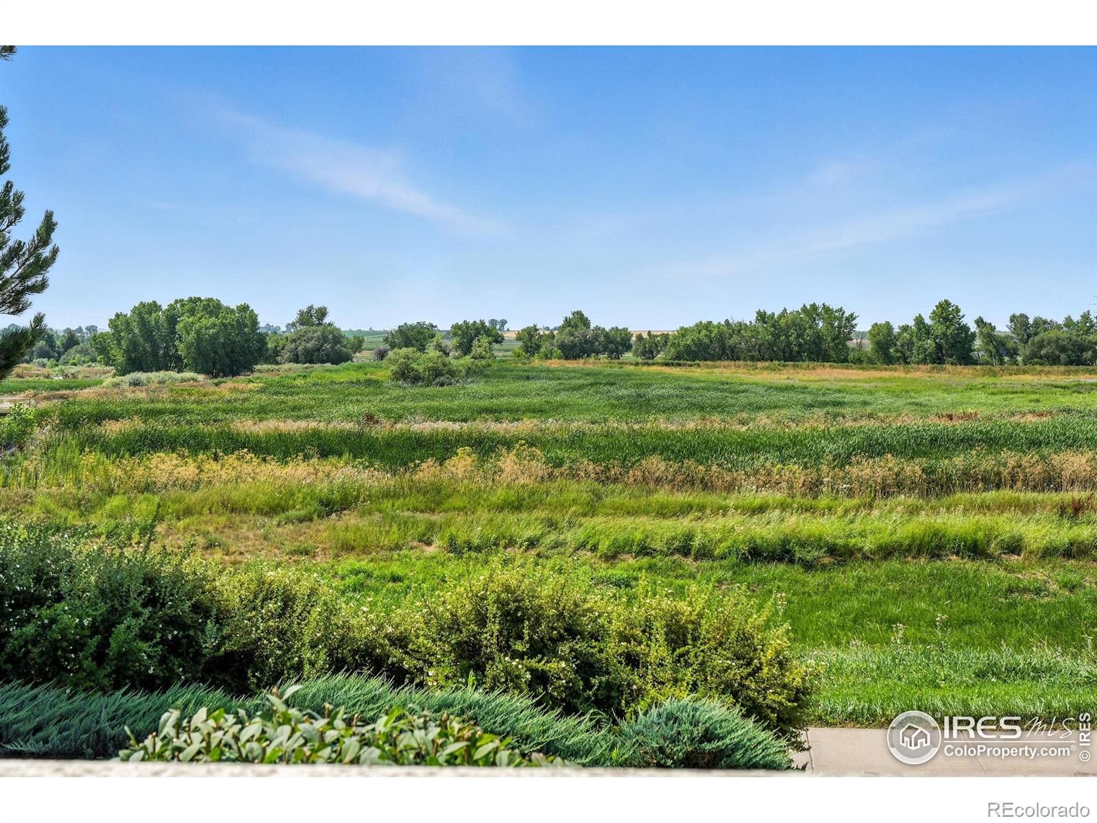 1601 Great Western Drive L6, Longmont, CO, 80501 2 1601 Great Western Drive L6