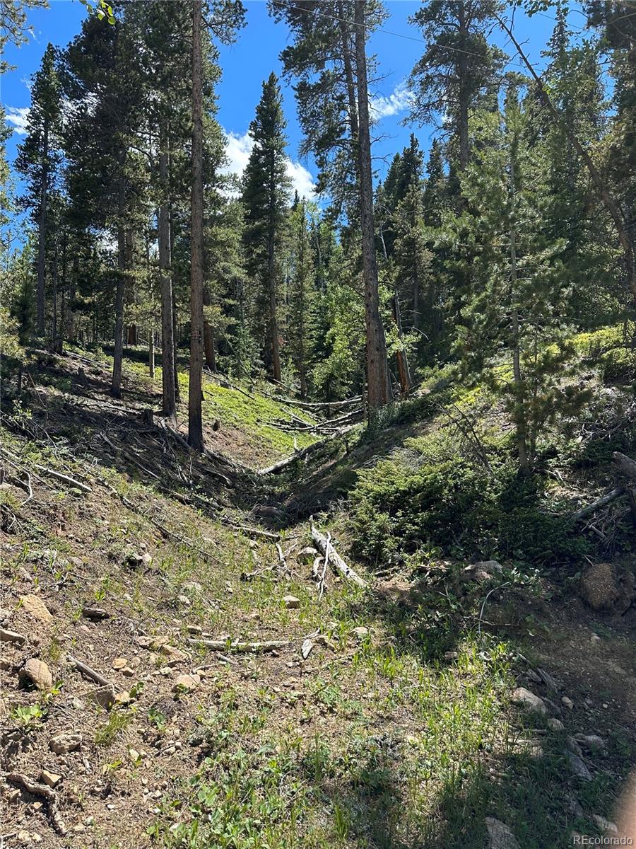 00 S Spring Gulch