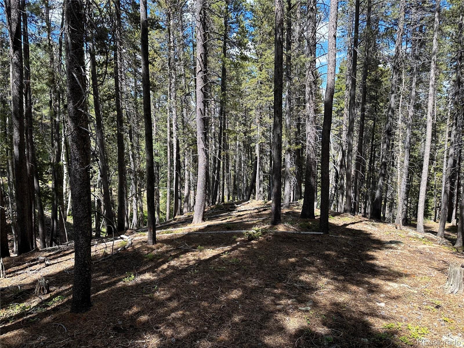 00 S Spring Gulch