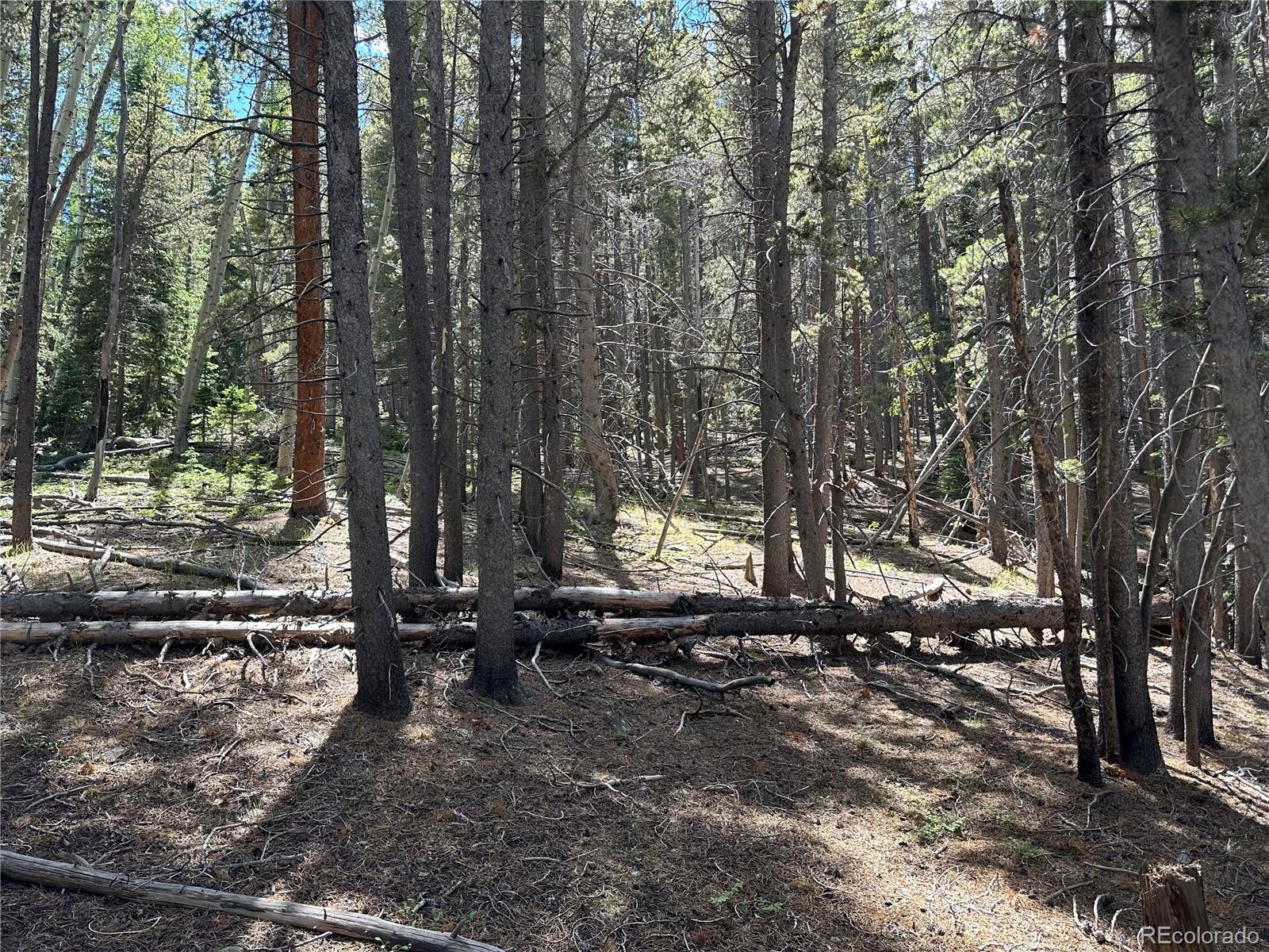 00 S Spring Gulch