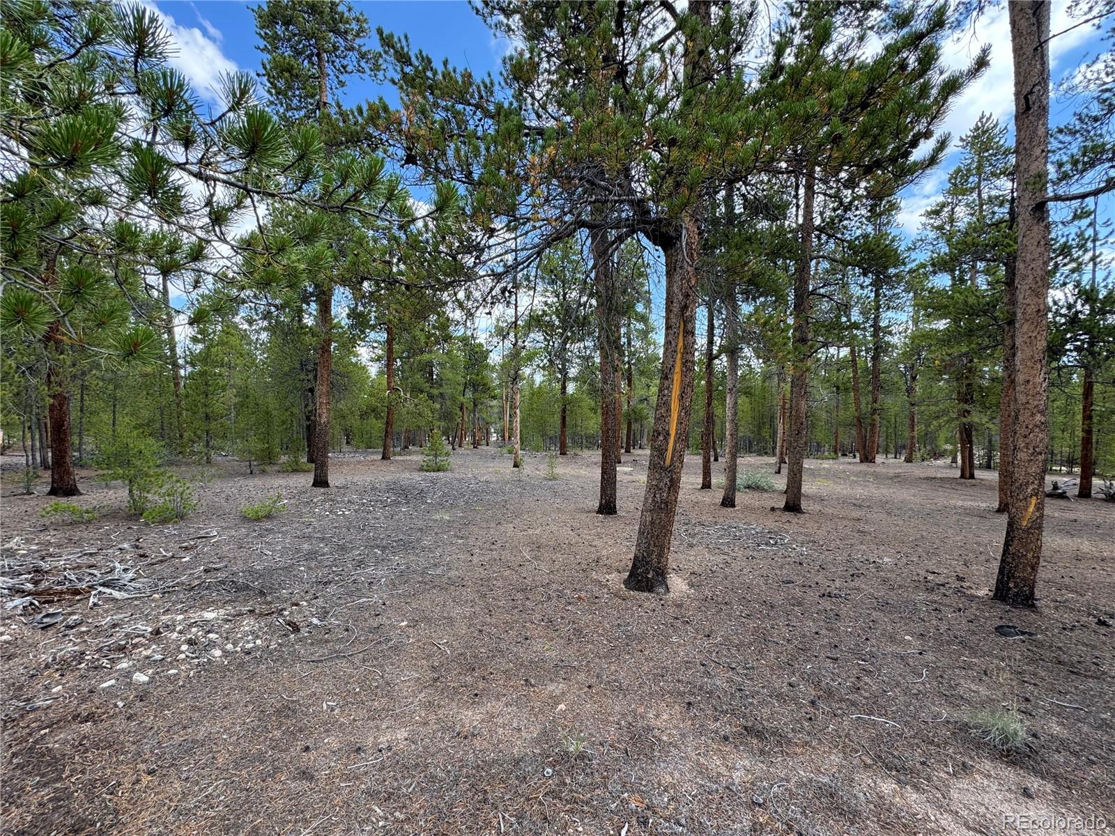 719 Peak View Drive