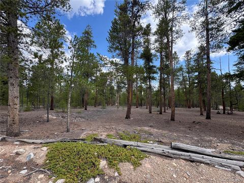 719 Peak View Drive Twin Lakes CO 81251