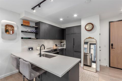 1601 Park Avenue 303 Denver CO 80218