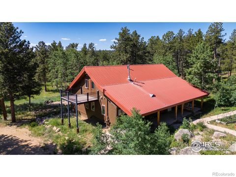 Photo of 187 Lynx Drive, Ward, CO 80481 (MLS # IR1048613)