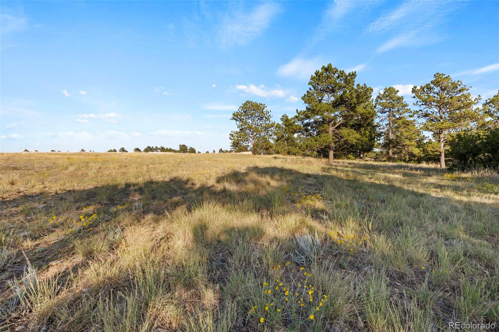 13001 E Cherry Creek Road