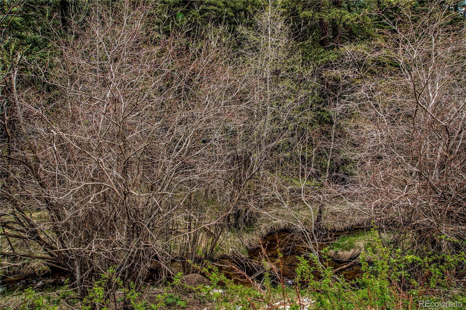 Beaver Creek