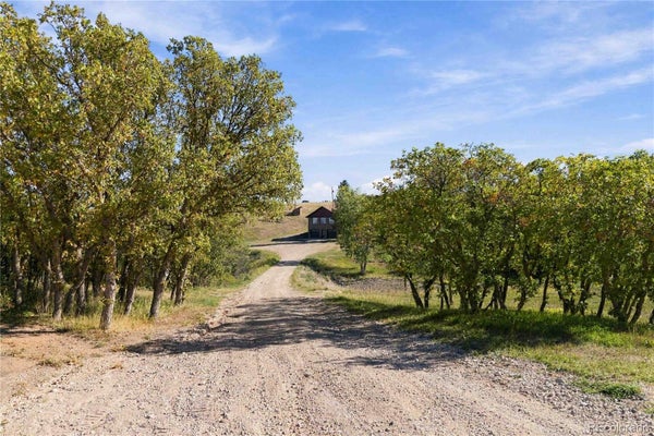 1551 PEAK VIEW DR, CASTLE ROCK, CO 80109 - Image 9bebe50799652637caf1aaebd95a2bbc/3338975744