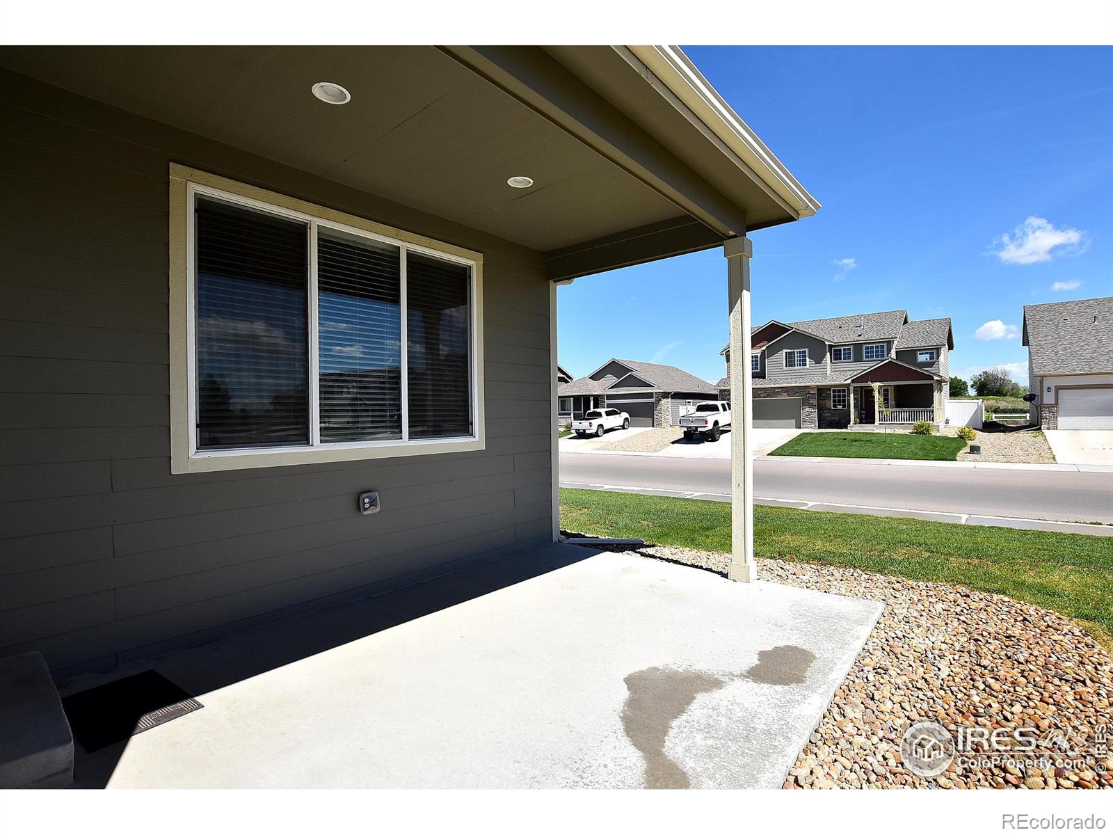 2439 Ravi Street, Windsor, CO, 80550 3 2439 Ravi Street