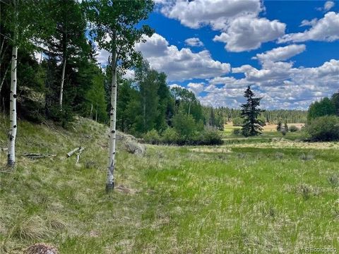 458 Arrowhead Road Florissant CO 80816