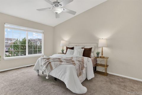 479 Black Feather Loop 311 Castle Rock CO 80104