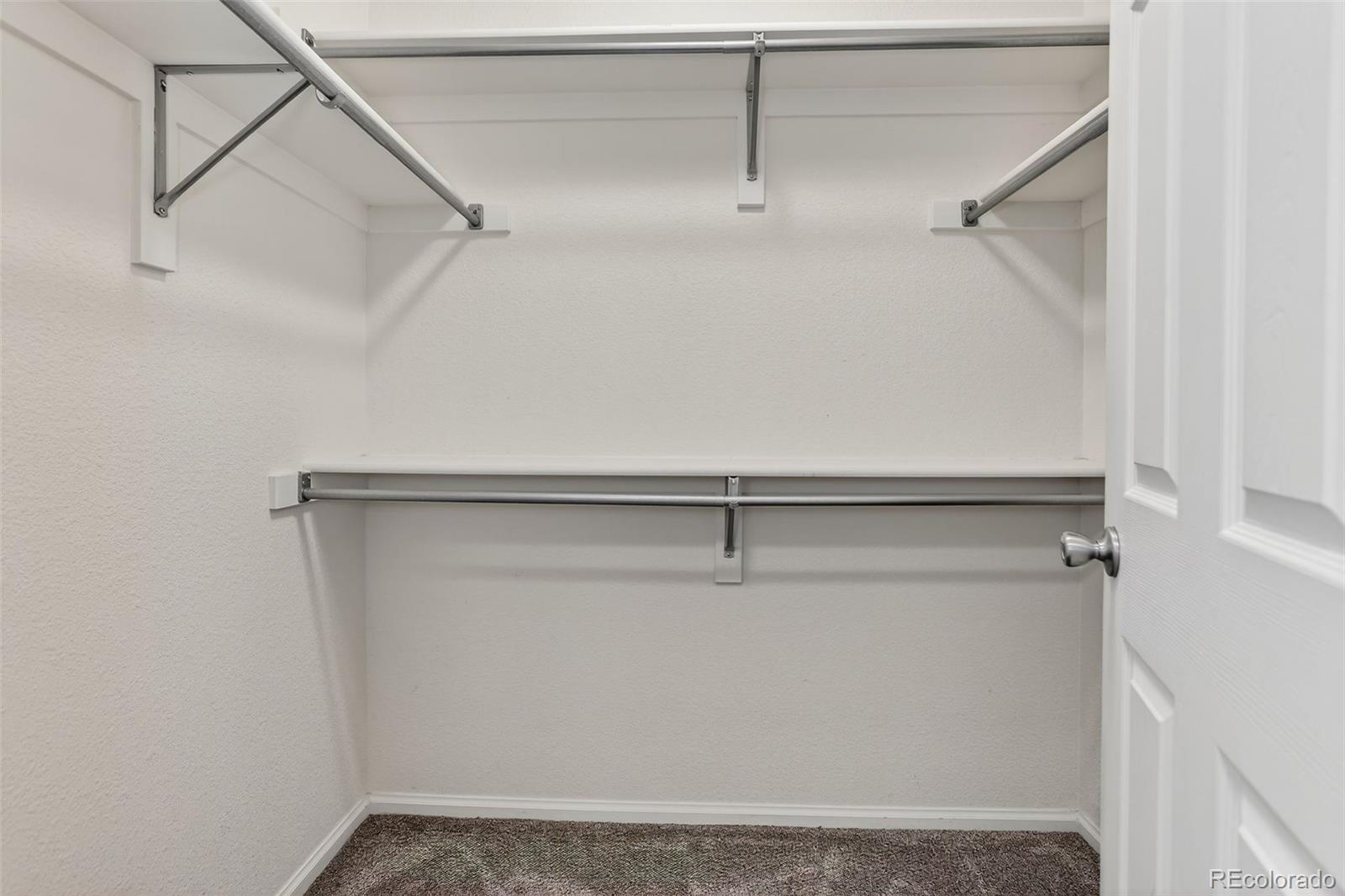 479 Black Feather Loop 311