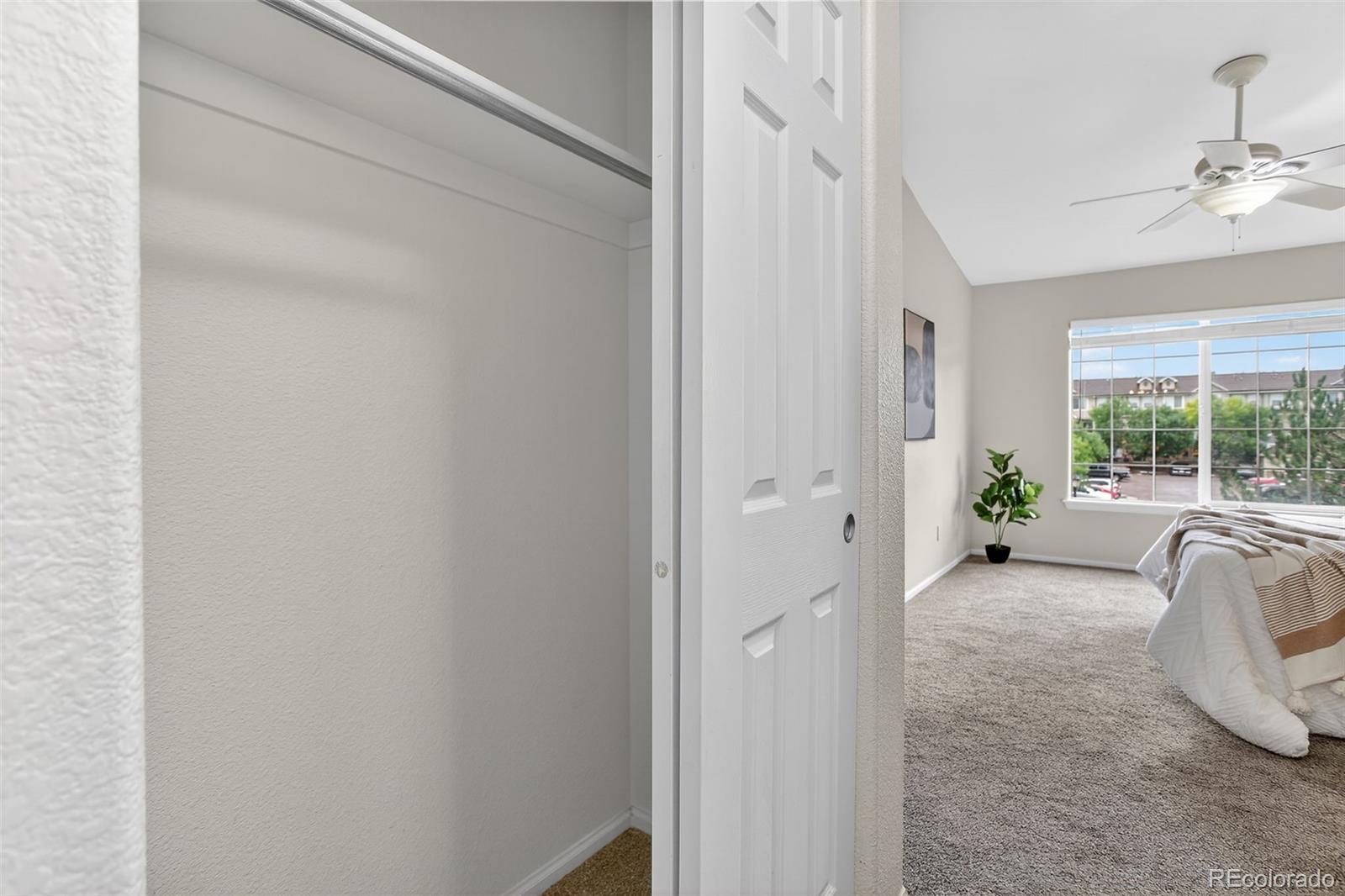 479 Black Feather Loop 311