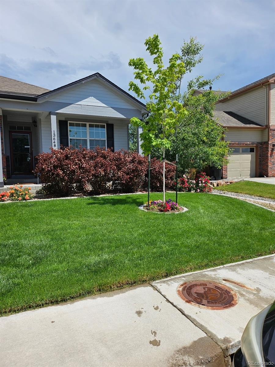 13648 Valentia Street