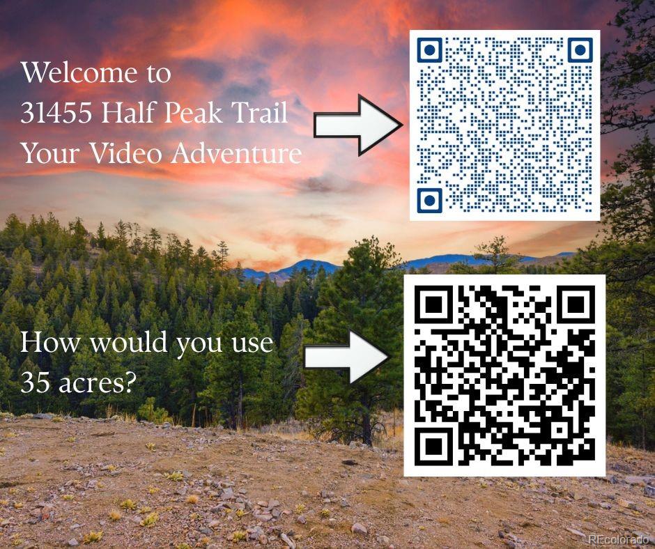 31455 Half Peak Trail