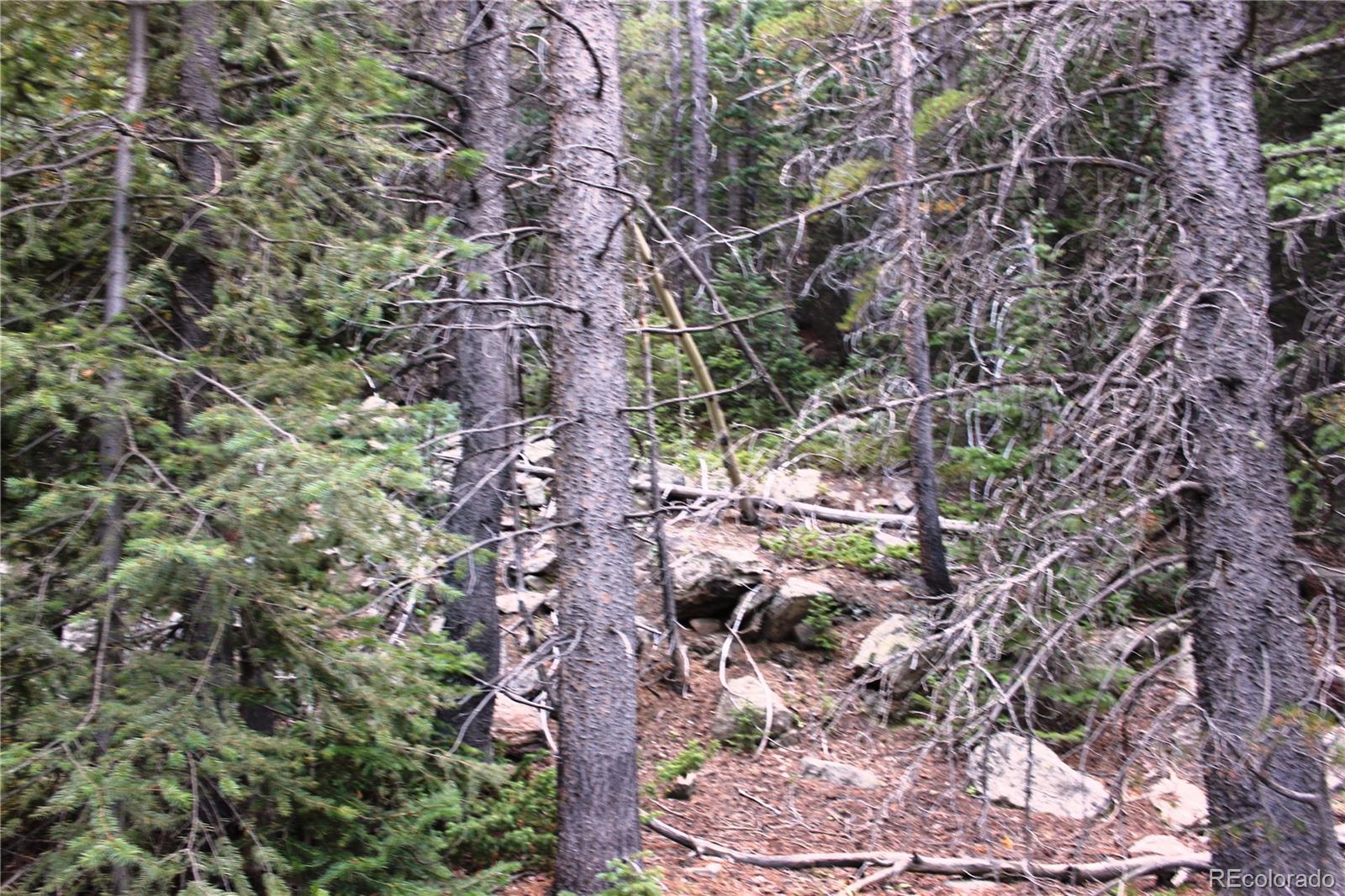 00 Gamble Gulch