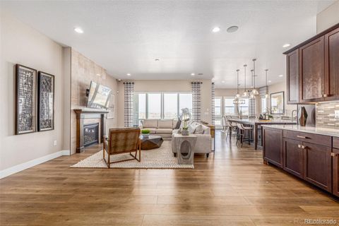 17149 Birds Foot Trail Parker Co 80134